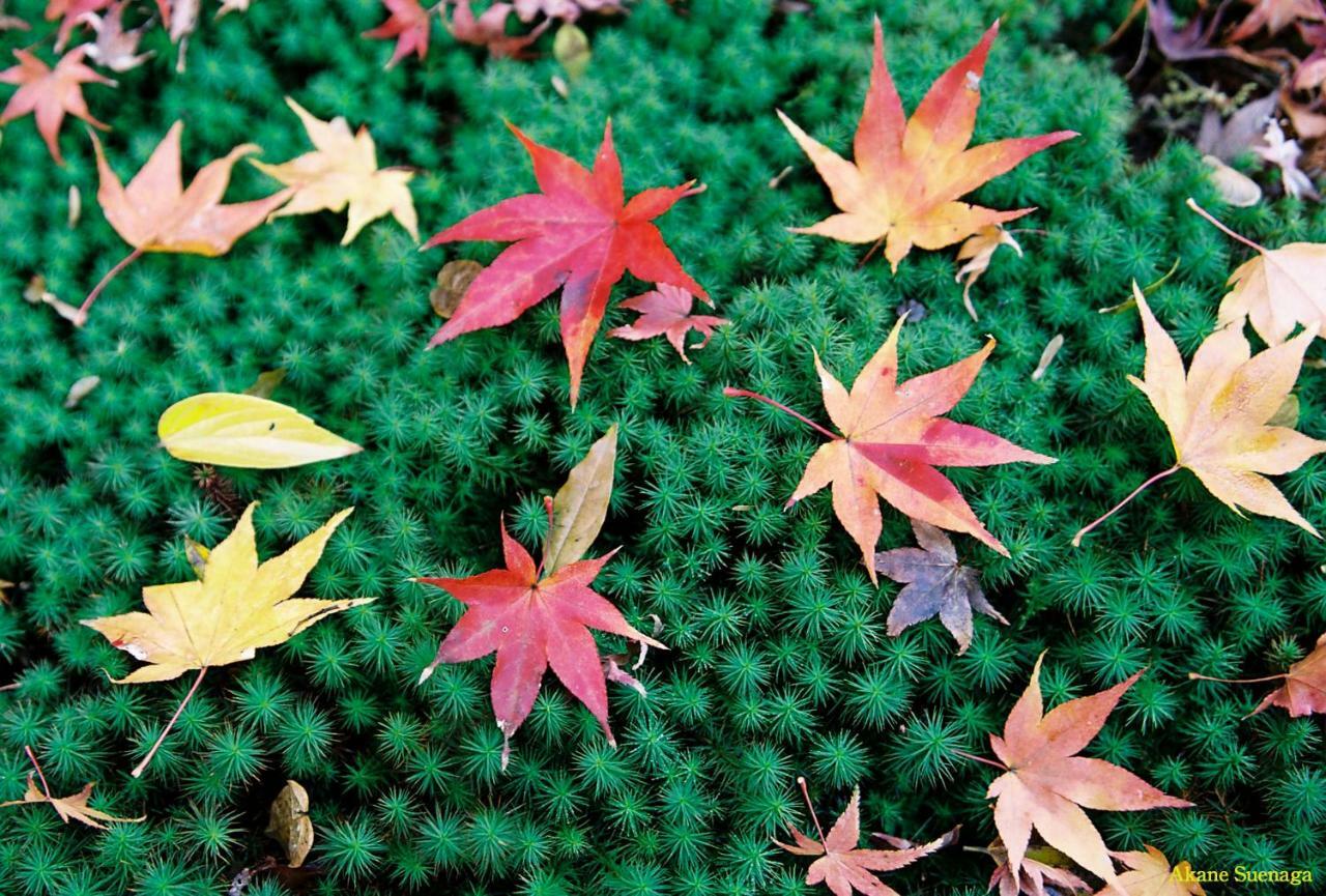 Kyoto Home Yoshida Buitenkant foto